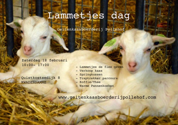 advertentie-lammetjes-dag