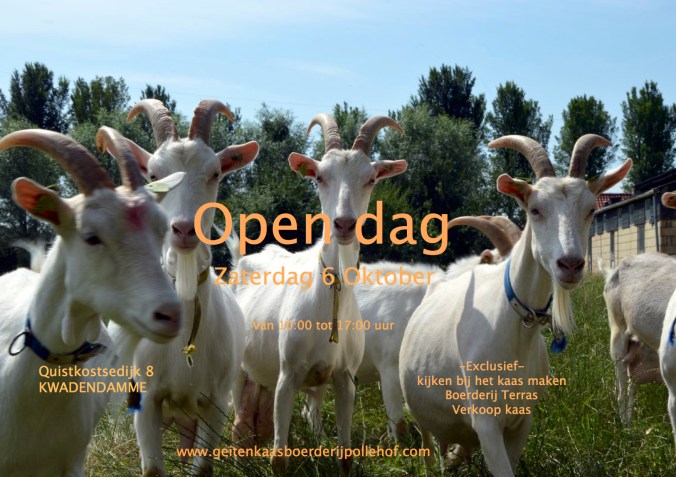 Poster open dag.jpg