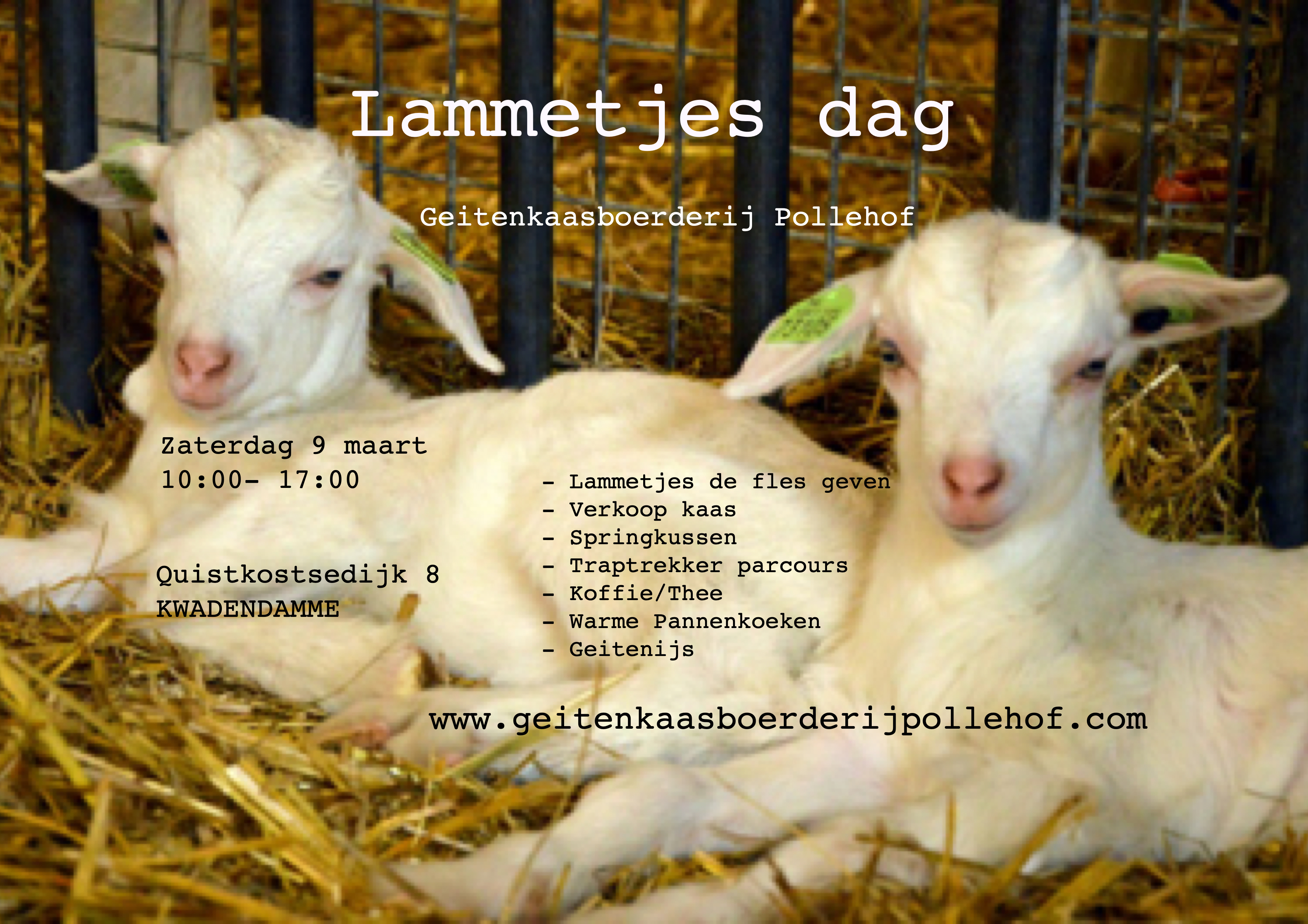 advertentie lammetjes dag.jpg